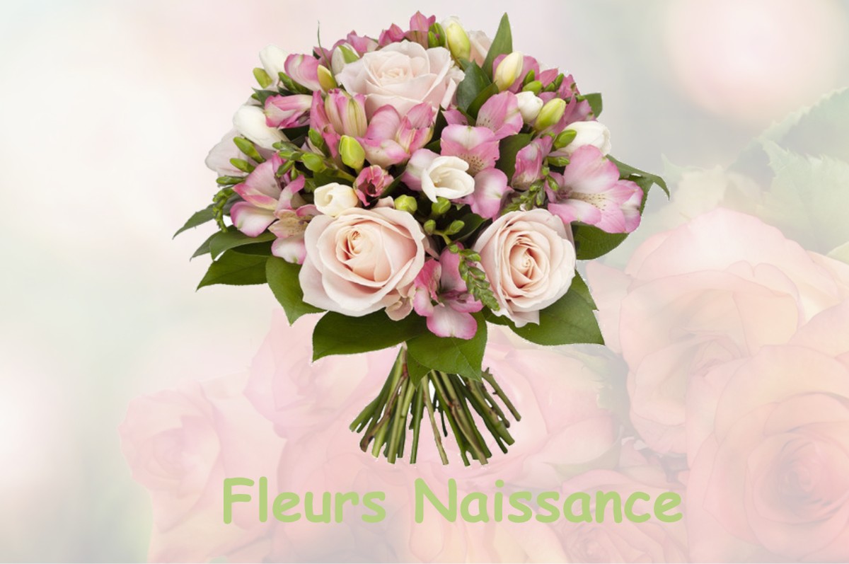 fleurs naissance LA-BESSEYRE-SAINT-MARY